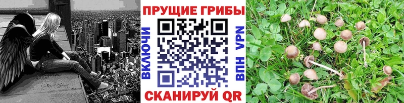 Псилоцибиновые грибы мухоморы Кукмор